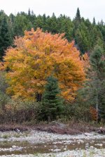 YHZ_10_05-16.jpg YHZ_10_05-16.jpg