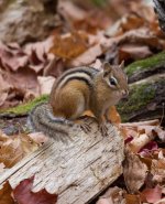 YHZ_10_05-26.jpg YHZ_10_05-26.jpg