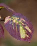 YHZ_10_05-27.jpg YHZ_10_05-27.jpg