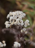 YHZ_10_05-29.jpg YHZ_10_05-29.jpg