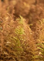 YHZ_10_05-30.jpg YHZ_10_05-30.jpg