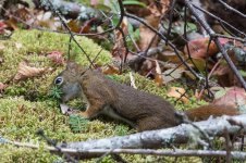 YHZ_10_05-35.jpg YHZ_10_05-35.jpg