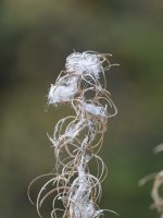 YHZ_10_05-44.jpg YHZ_10_05-44.jpg