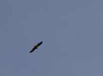 YHZ_10_05-49.jpg YHZ_10_05-49.jpg