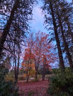 YHZ_10_05-53.jpg YHZ_10_05-53.jpg