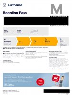 Bordkarte Online Check-in_Page_1.jpg