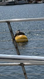 IMG_E9272.JPG IMG_E9272.JPG