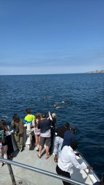 IMG_9280.JPG IMG_9280.JPG