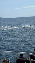 IMG_9291.JPG IMG_9291.JPG