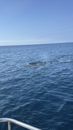 IMG_E9332.JPG IMG_E9332.JPG