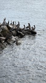 IMG_E9357.JPG IMG_E9357.JPG