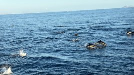 IMG_9375.JPG IMG_9375.JPG