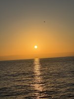 IMG_9397.JPG IMG_9397.JPG