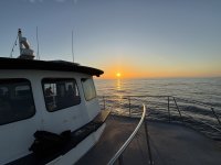 IMG_9403.JPG IMG_9403.JPG