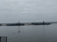 IMG_9445.JPG IMG_9445.JPG