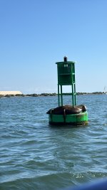 IMG_9532.JPG IMG_9532.JPG