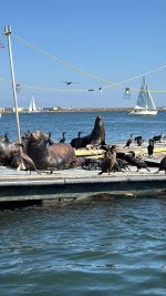 IMG_9539.JPG IMG_9539.JPG