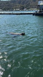 IMG_9547.JPG IMG_9547.JPG