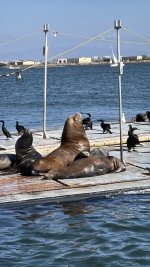 IMG_E9550.JPG IMG_E9550.JPG