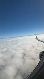 IMG_9579.JPG IMG_9579.JPG