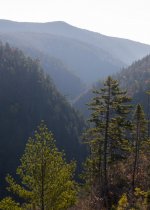 YHZ_10_06-5.jpg YHZ_10_06-5.jpg