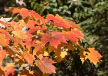 YHZ_10_06-6.jpg YHZ_10_06-6.jpg