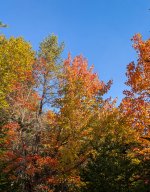 YHZ_10_06-7.jpg YHZ_10_06-7.jpg