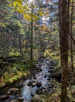 YHZ_10_06-8.jpg YHZ_10_06-8.jpg