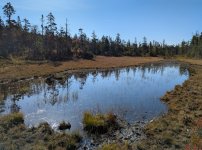 YHZ_10_06-9.jpg YHZ_10_06-9.jpg