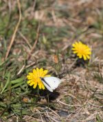 YHZ_10_06-18.jpg YHZ_10_06-18.jpg