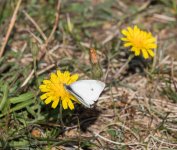 YHZ_10_06-19.jpg YHZ_10_06-19.jpg