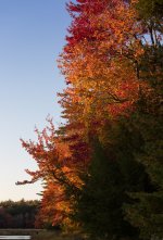 YHZ_10_06-23.jpg YHZ_10_06-23.jpg