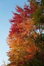 YHZ_10_06-24.jpg YHZ_10_06-24.jpg