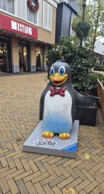 20251111_124312.jpg 20251111_124312.jpg