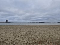 20251111_132255.jpg 20251111_132255.jpg