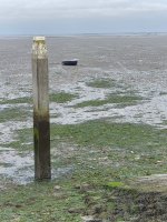 20251111_141005.jpg 20251111_141005.jpg