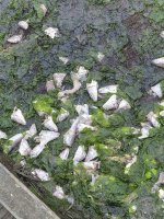 20251111_140859.jpg 20251111_140859.jpg