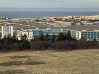 IMG_0664.JPEG IMG_0664.JPEG