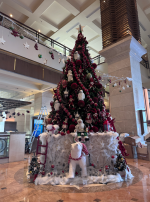 1764477223234.png 1764477223234.png