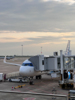 1764478229171.png 1764478229171.png