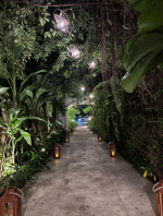 1764478504488.png 1764478504488.png