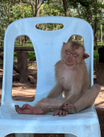 1764480419897.png 1764480419897.png