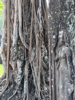 1764481180730.png 1764481180730.png