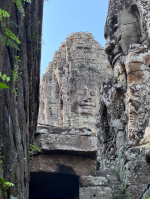 1764481336739.png 1764481336739.png