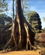 1764482113485.png 1764482113485.png