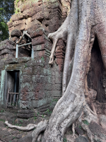 1764482134562.png 1764482134562.png