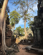 1764482195672.png 1764482195672.png