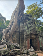 1764482219994.png 1764482219994.png