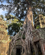 1764482241418.png 1764482241418.png