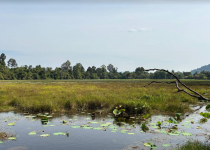 1764483133087.png 1764483133087.png